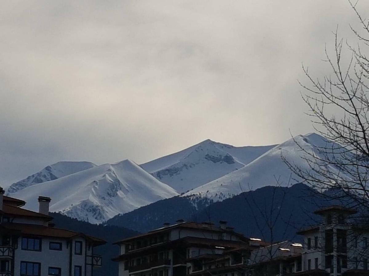 Royal Bansko - Accommodation, BB, Half Board Plus&All Inclusive Exteriör bild